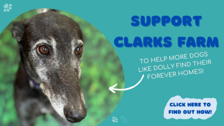 Support Clarks Farm
