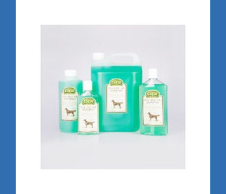 Tea Tree Shampoo