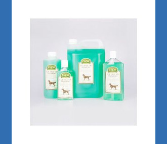 Tea Tree Shampoo