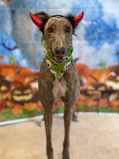 Benji🎃