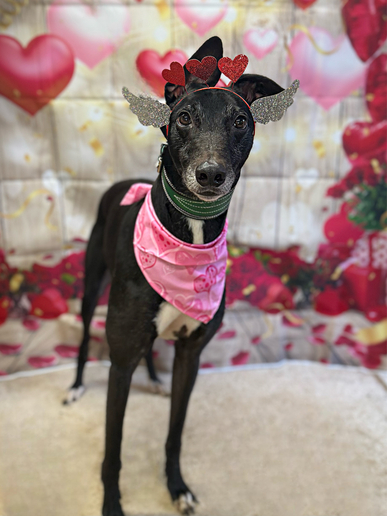 Sponsor a Long Term Resident-Alan