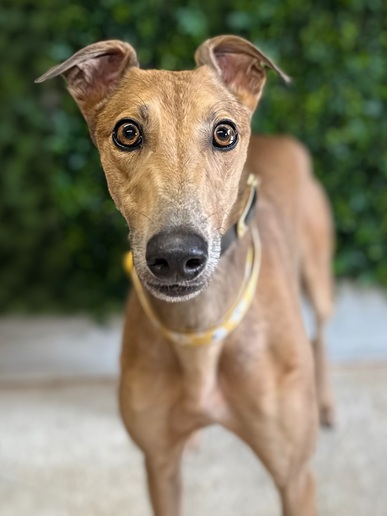 Rusty🧡