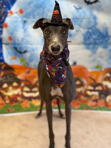 Heidi🎃