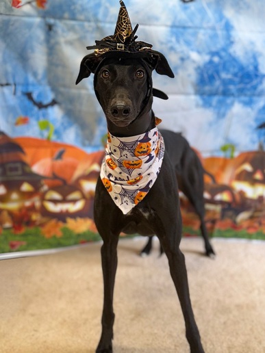 Winnie🎃