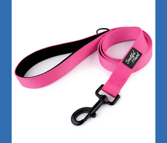 Snootiful Hound Lead 120cm