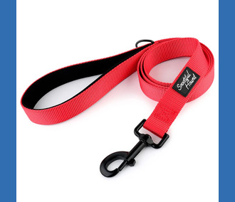 Snootiful Hound Lead 200cm