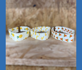 Pet Collars