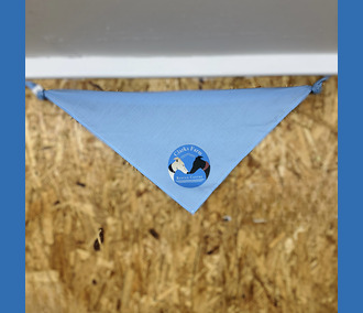 Clarks Farm Hound Bandanna