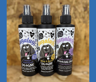 Bugaluggs Cologne