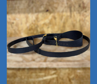 Collar and Lead Set