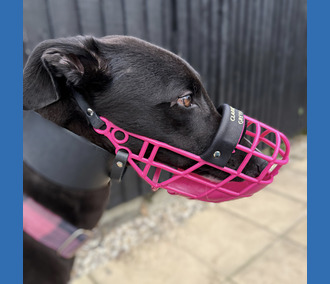 Muzzle