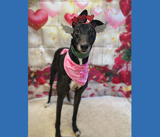 Sponsor a Long Term Resident-Alan