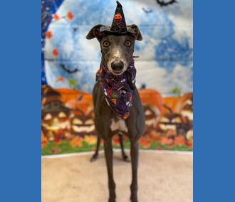 Heidi🎃
