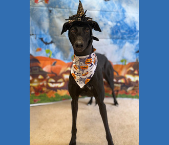 Winnie🎃