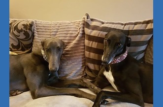 River and Kane