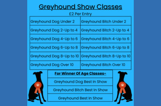 GREYHOUND CLASSES