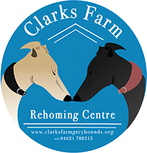 Clarks Farm Greyhound Rescue
